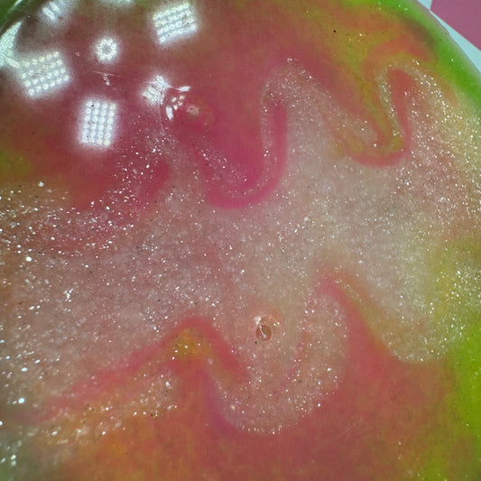 Duck hunting dog round B-Grade Silicone Freshie Mold