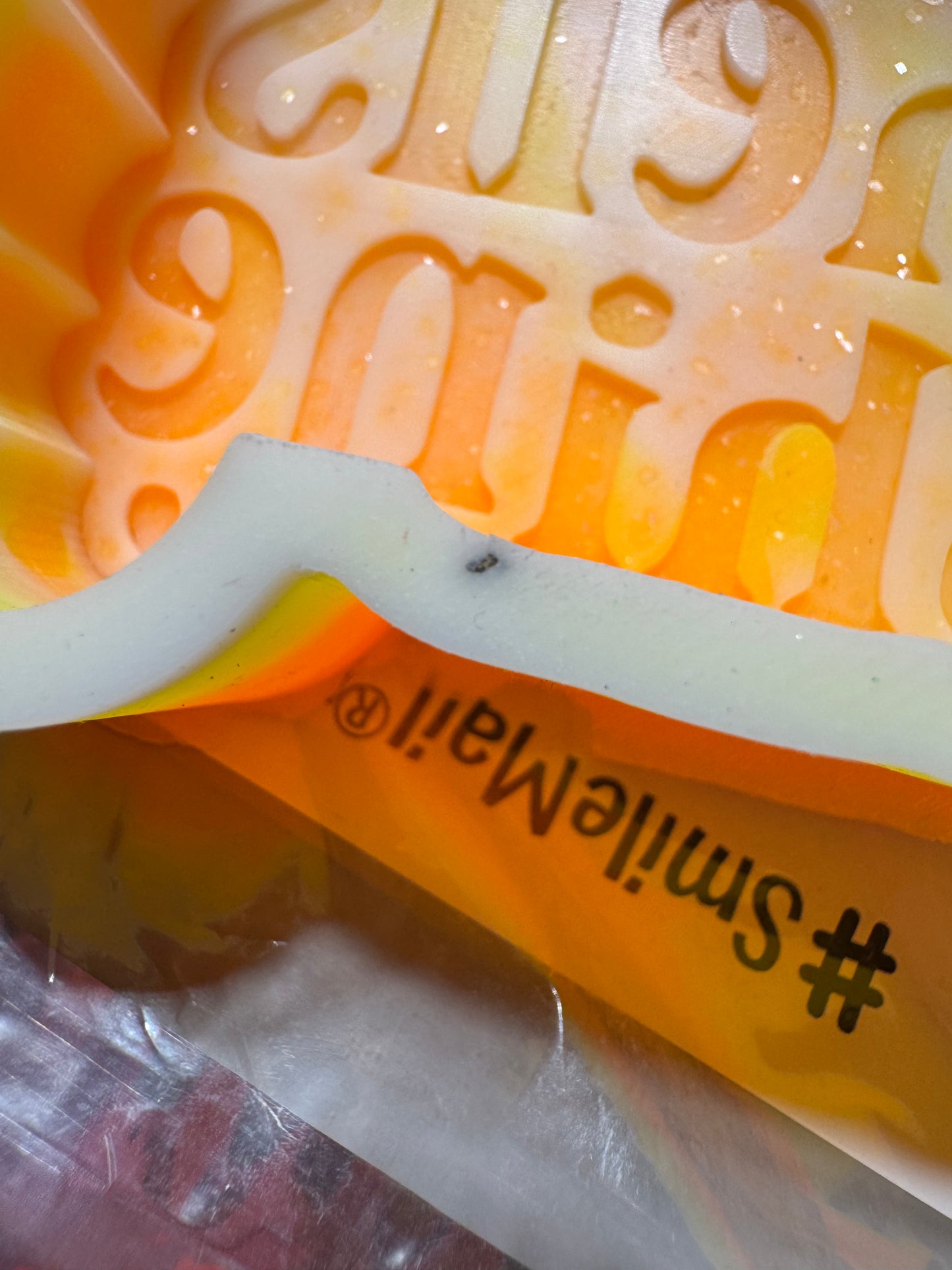 Saltwater seashell sunshine B-Grade Silicone Freshie Mold