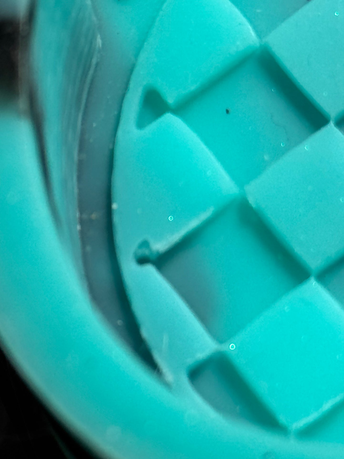 Checkered tongue B-Grade Silicone Freshie Mold