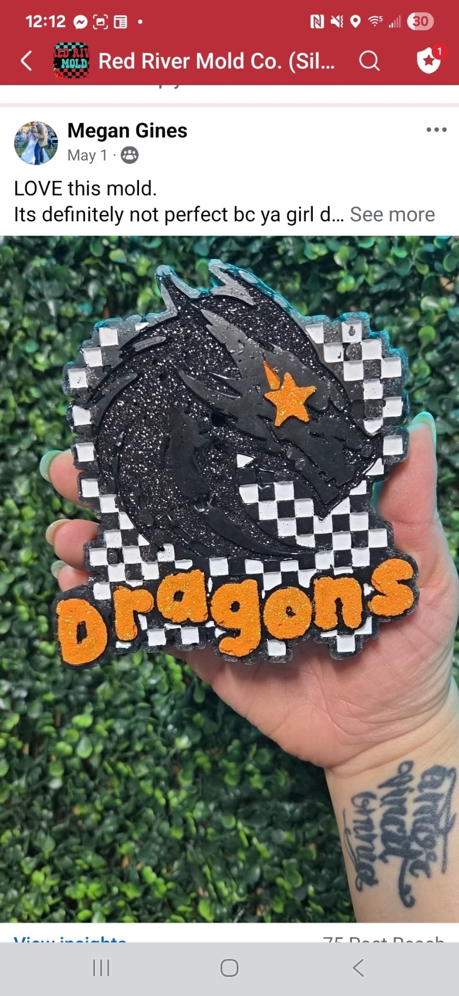 Checkered Star Eye Dragons Mascot Silicone Freshie Mold RRMC Exclusive - Red River Mold Co