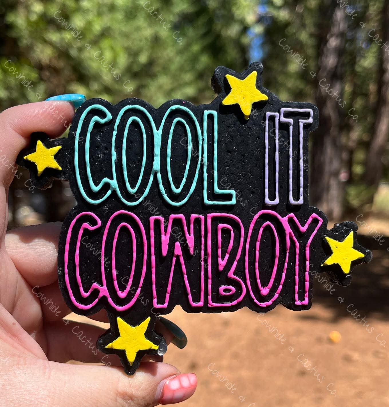 Cool It Cowboy Silicone Freshie Mold - Red River Mold Co