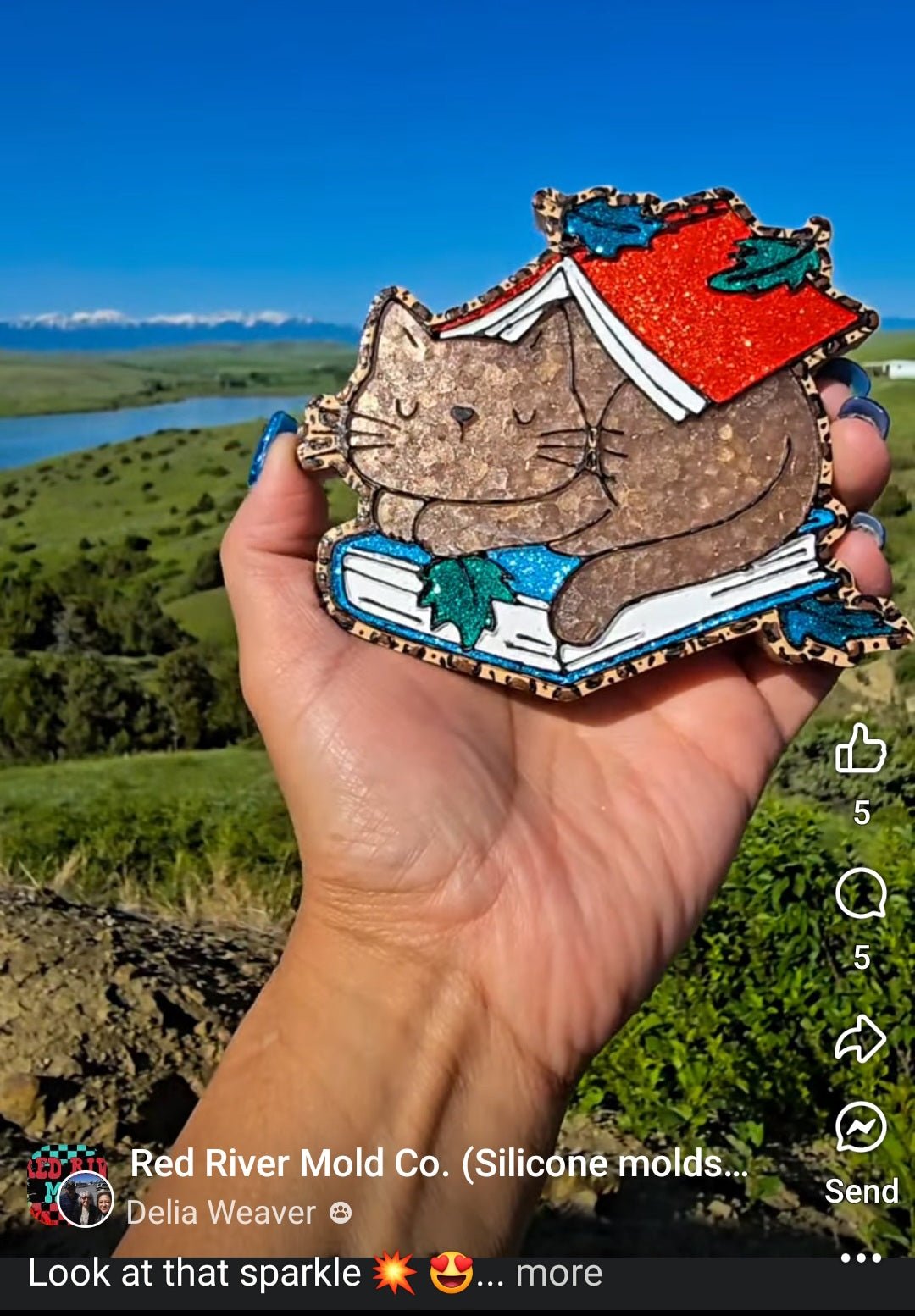Cozy Book Cat Silicone Freshie Mold - Red River Mold Co