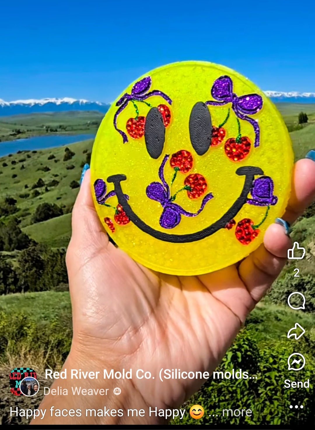 Smiley face with Cherries Silicone Freshie Mold - Red River Mold Co