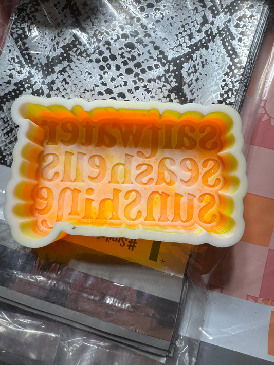 Saltwater seashell sunshine  B-Grade Silicone Freshie Mold