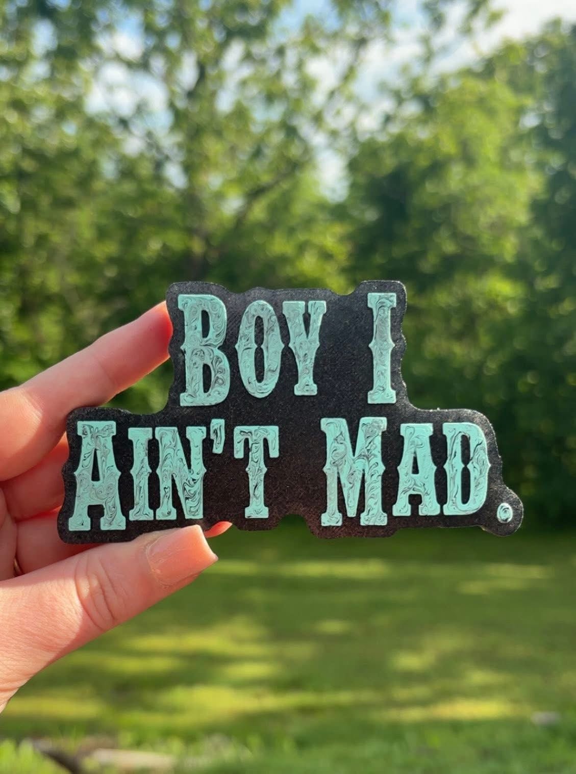 Boy I Ain't Mad Silicone Freshie Mold - Red River Mold Co