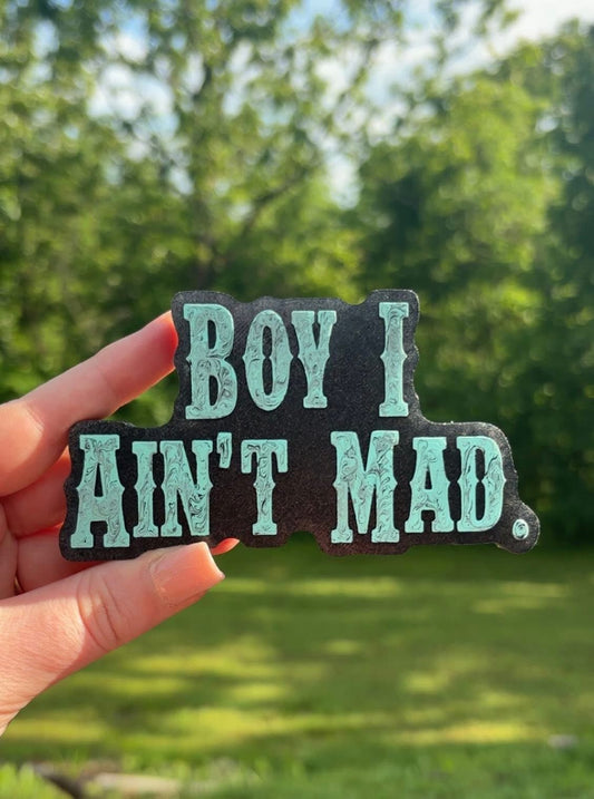 Boy I Ain't Mad Silicone Freshie Mold - Red River Mold Co