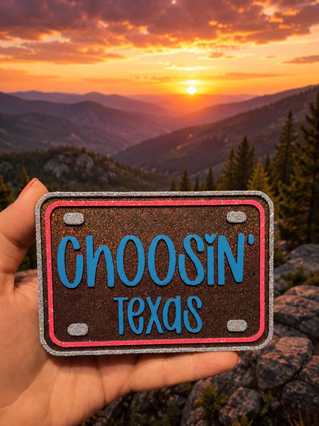 Choosin Texas License Plate Silicone Freshie Mold - Red River Mold Co