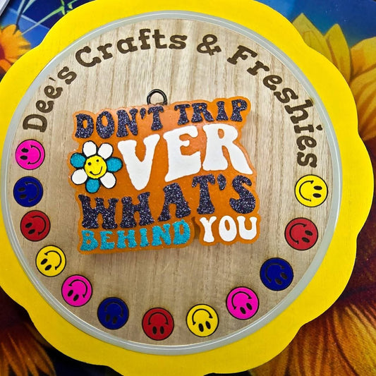 Don't Trip Over What's Behind You Silicone Freshie Mold - Red River Mold Co