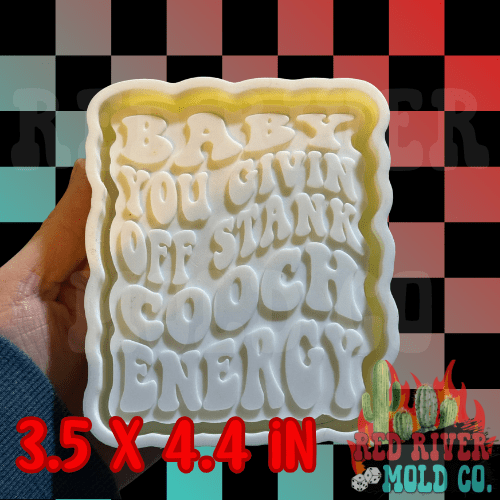 Givin off stank cooch energy Silicone Freshie Mold - Red River Mold Co