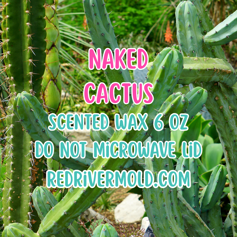 Naked Cactus Pre-Scented Wax 6oz