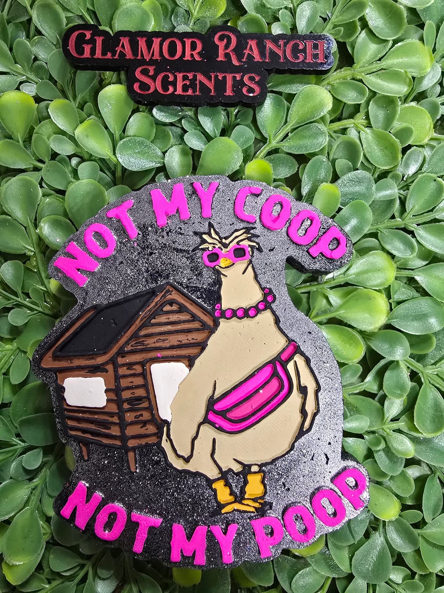 Not My Coop Not My Poop Silicone Freshie Mold - Red River Mold Co