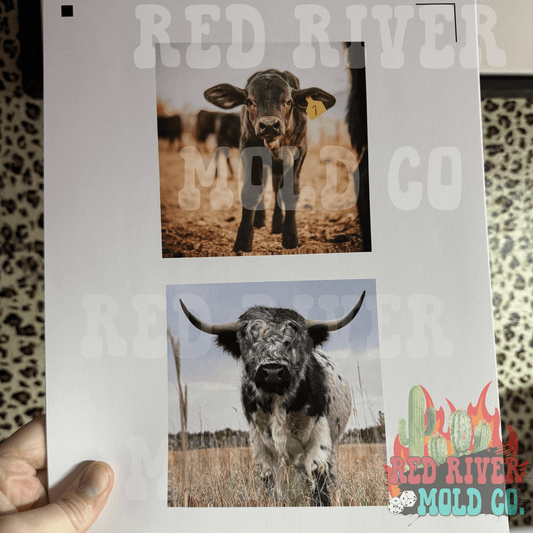 RRMC 4 in square turquoise jewelry frame cardstock grab bag - Red River Mold Co