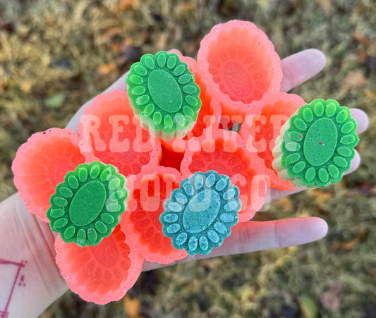 Turquoise Concho Silicone Freshie vent/ Wax Melt Mold - Red River Mold Co