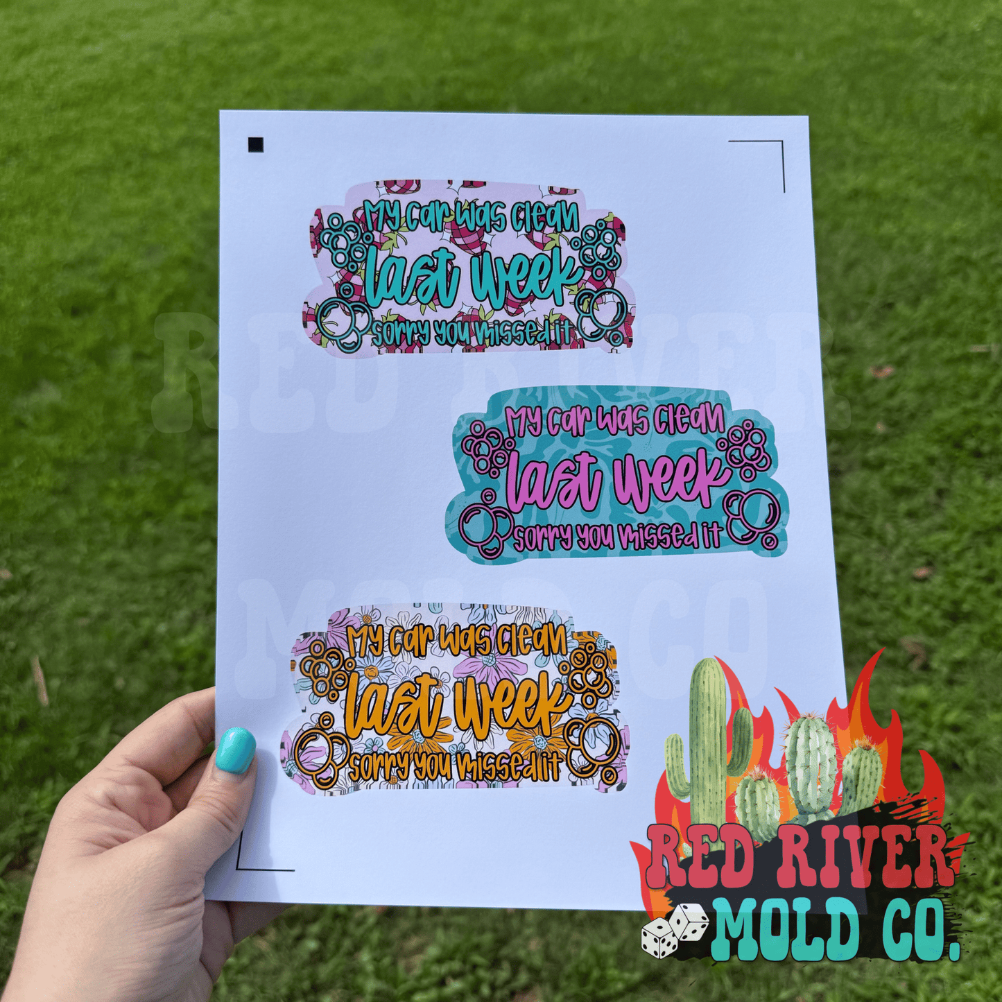 Whimsical Wiffs my car was clean last week cardstock grab bag - Red River Mold Co