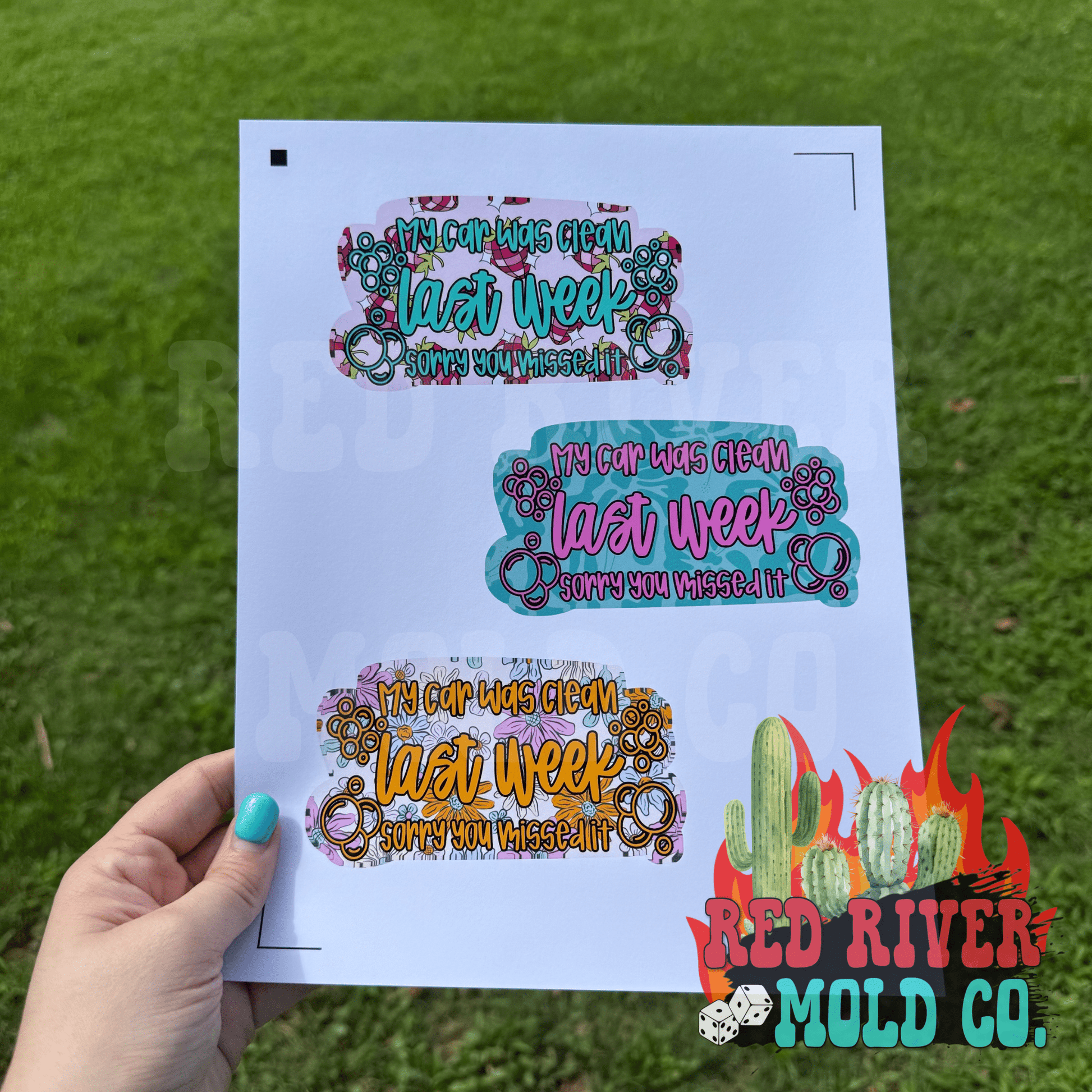 Whimsical Wiffs my car was clean last week cardstock grab bag - Red River Mold Co